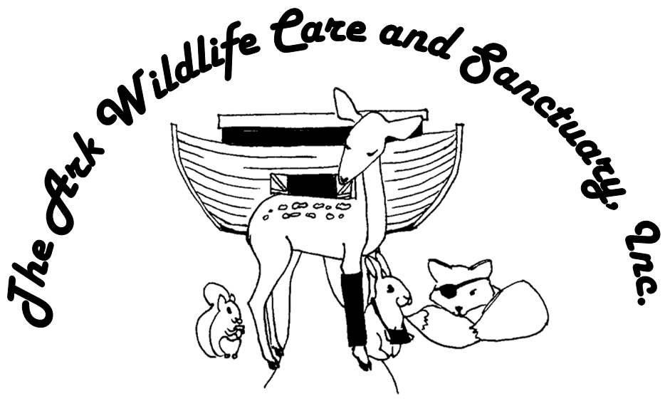 Ark Wildlife Care and Sanctuary